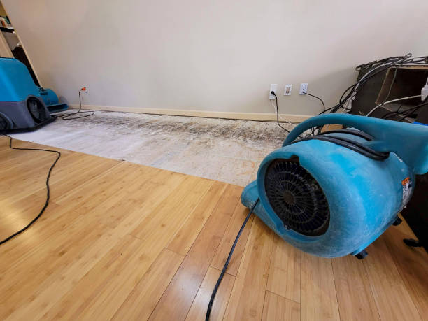 Professional Structural Drying technician working in Salem, WI